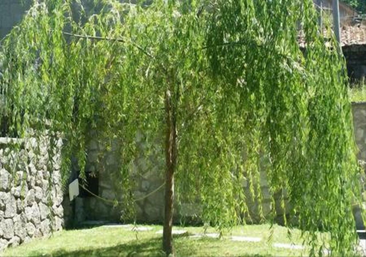 La Villetta In Montagna Vivo dʼOrcia Exteriör bild